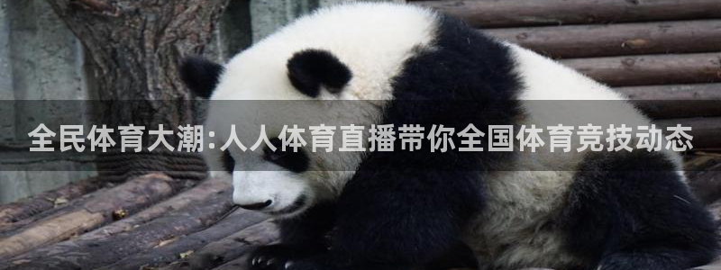 全民体育大潮:人人体育直播带你全国体育竞技动态