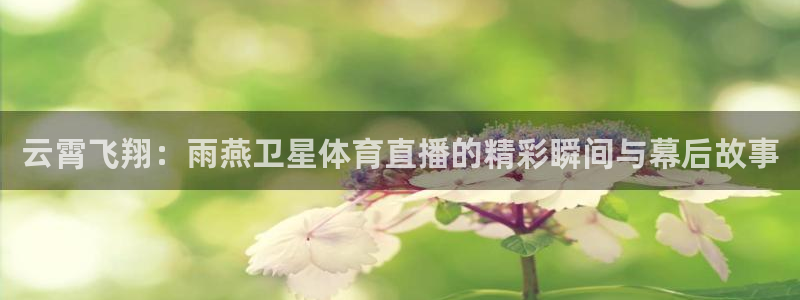 云霄飞翔：雨燕卫星体育直播的精彩瞬间与幕后故事