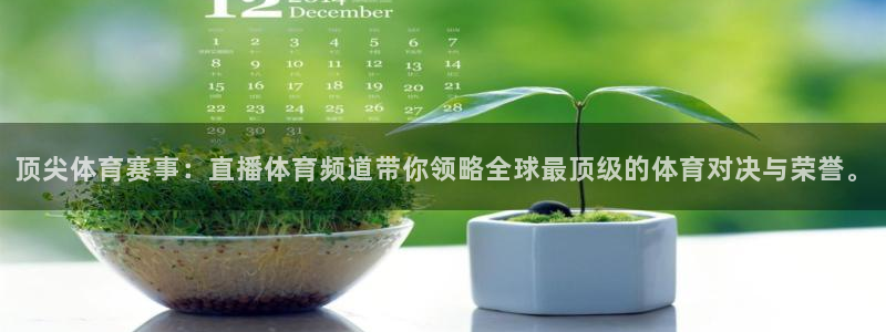 顶尖体育赛事：直播体育频道带你领略全球最顶级的体育对决与荣誉。