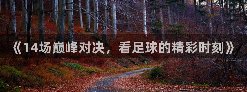 《14场巅峰对决，看足球的精彩时刻》