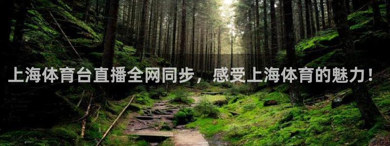上海体育台直播全网同步，感受上海体育的魅力！