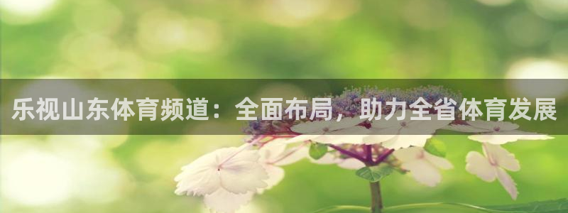 乐视山东体育频道：全面布局，助力全省体育发展