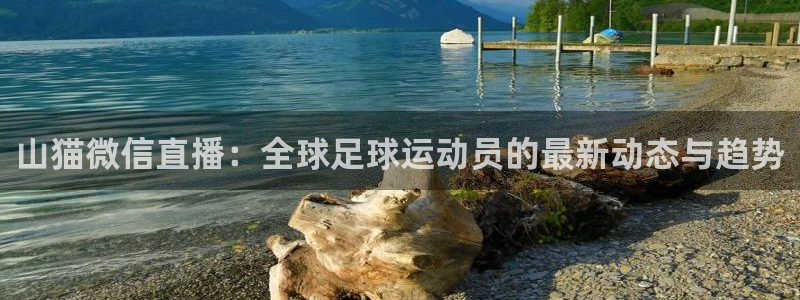 山猫微信直播：全球足球运动员的最新动态与趋势