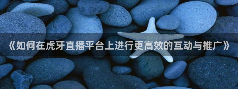 《如何在虎牙直播平台上进行更高效的互动与推广》