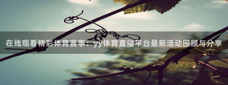 在线观看精彩体育赛事：yy体育直播平台最新活动回顾与分享