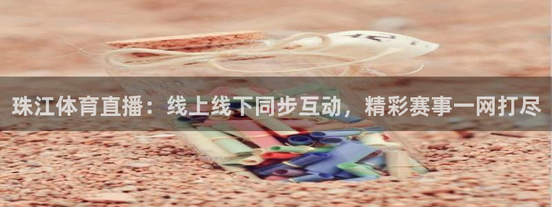珠江体育直播：线上线下同步互动，精彩赛事一网打尽