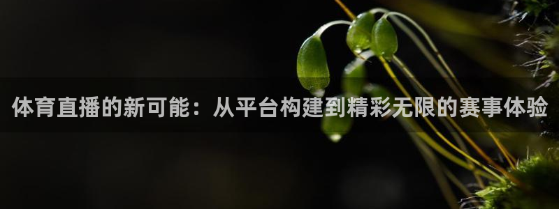 体育直播的新可能：从平台构建到精彩无限的赛事体验