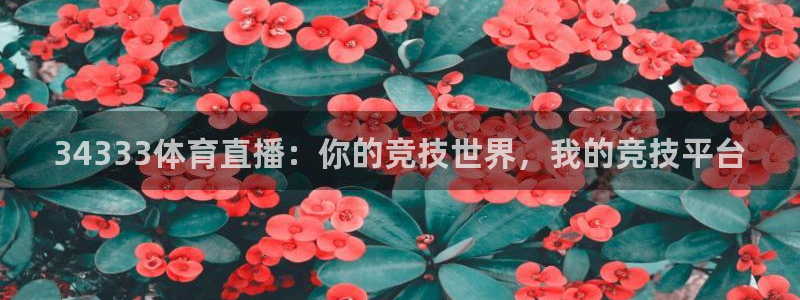 34333体育直播：你的竞技世界，我的竞技平台