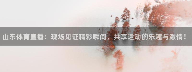 山东体育直播：现场见证精彩瞬间，共享运动的乐趣与激情！