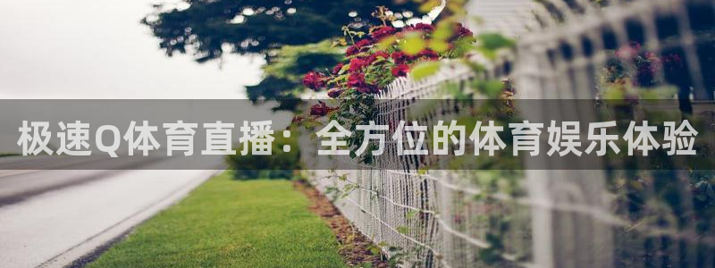 极速Q体育直播：全方位的体育娱乐体验
