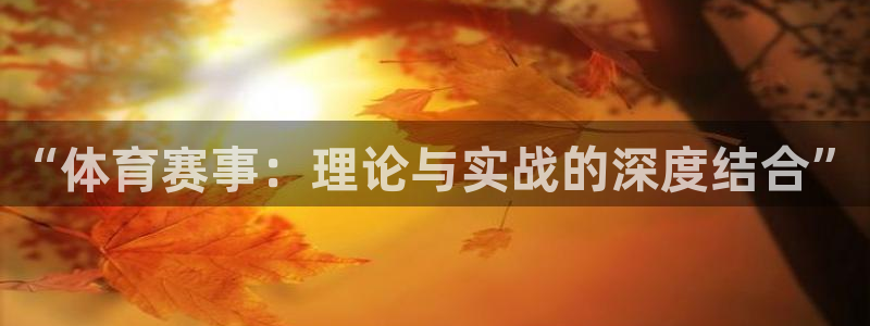 “体育赛事：理论与实战的深度结合”