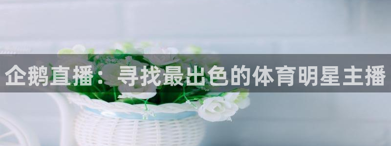 企鹅直播：寻找最出色的体育明星主播