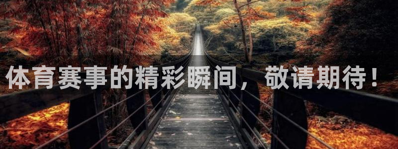 体育赛事的精彩瞬间，敬请期待！