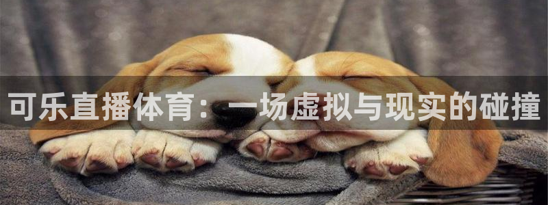 可乐直播体育：一场虚拟与现实的碰撞