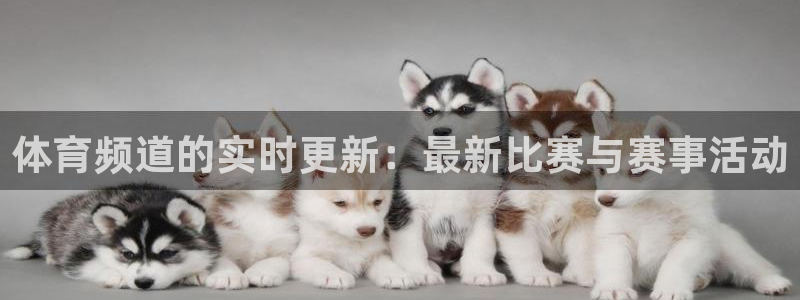 体育频道的实时更新：最新比赛与赛事活动