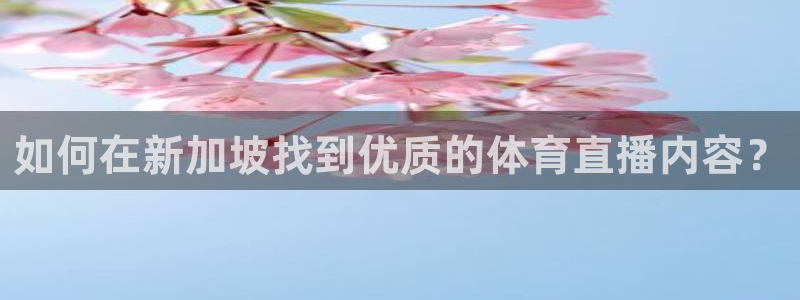如何在新加坡找到优质的体育直播内容？