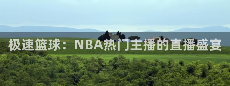 极速篮球：NBA热门主播的直播盛宴