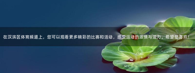 在汉滨区体育频道上，您可以观看更多精彩的比赛和活动，感受运动的激情与活力。希望您喜欢！
