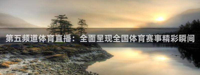 第五频道体育直播：全面呈现全国体育赛事精彩瞬间