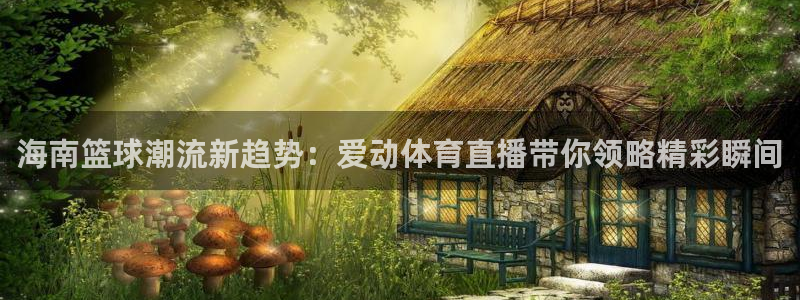 海南篮球潮流新趋势：爱动体育直播带你领略精彩瞬间
