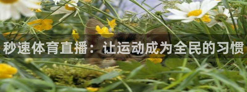 秒速体育直播：让运动成为全民的习惯