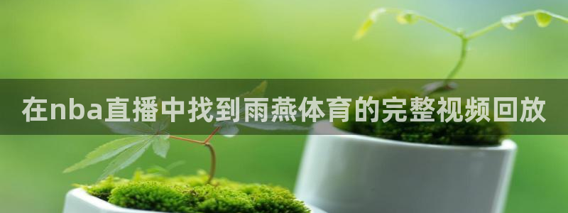 在nba直播中找到雨燕体育的完整视频回放