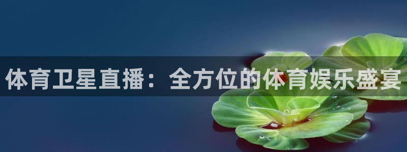 体育卫星直播：全方位的体育娱乐盛宴