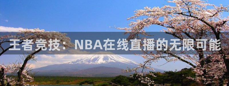 王者竞技：NBA在线直播的无限可能
