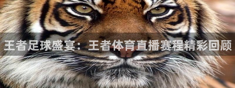 王者足球盛宴：王者体育直播赛程精彩回顾