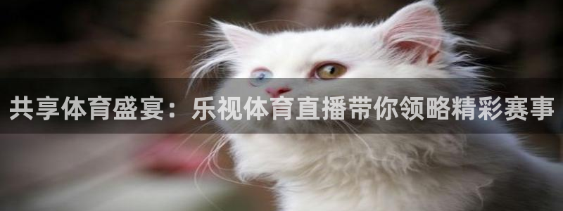 共享体育盛宴：乐视体育直播带你领略精彩赛事