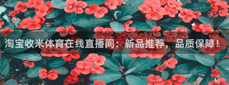 淘宝收米体育在线直播间：新品推荐，品质保障！