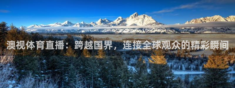 澳视体育直播：跨越国界，连接全球观众的精彩瞬间