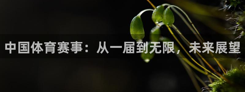 中国体育赛事：从一届到无限，未来展望